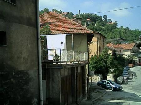 svi_0062.jpg