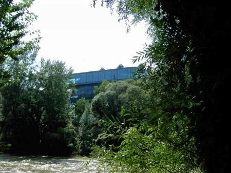 mracek_sommer_2_das_kunsthaus_im_dschungel_0.jpg