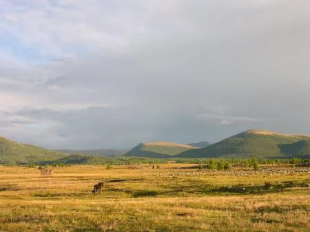 dscn3483.jpg