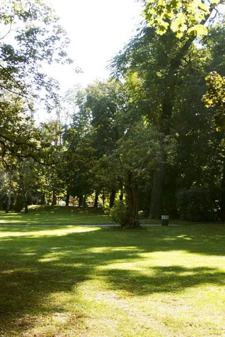 park.jpg