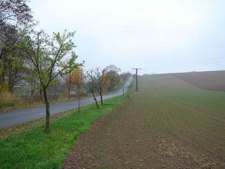 burgenl01_small.jpg