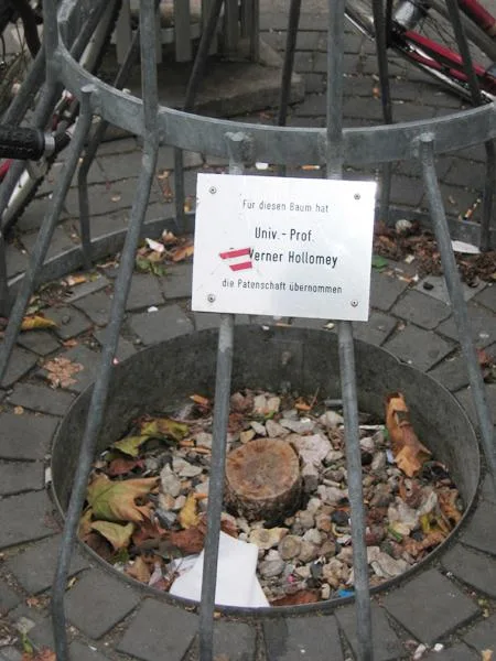 baumstumpf_1.jpg