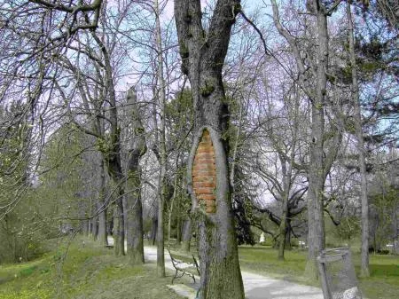110405_mracek_stadtpark_2823.jpg