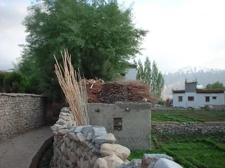 20050717_06.jpg