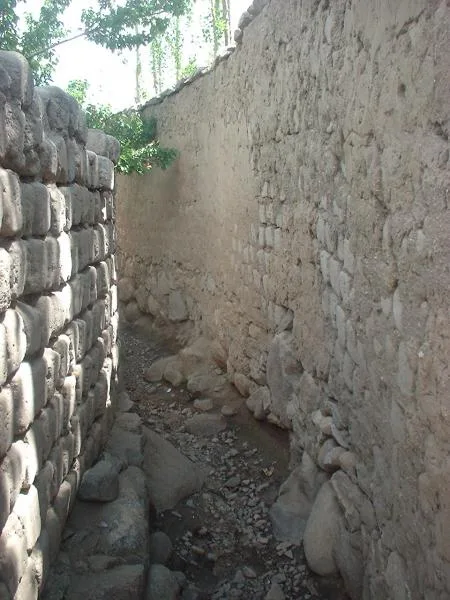 20050717_01.jpg