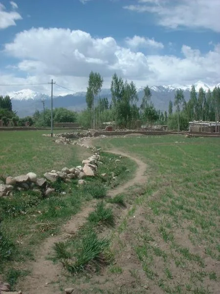 20050717_15.jpg
