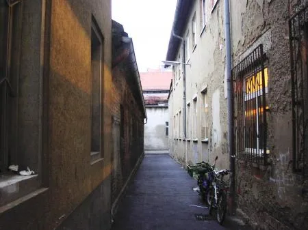 gries02.jpg