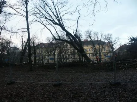candussi_stadtpark_pict0023_2.jpg