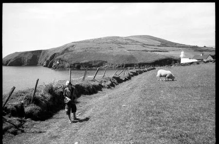 sonntag_118_juli05_dingle_zita.jpg