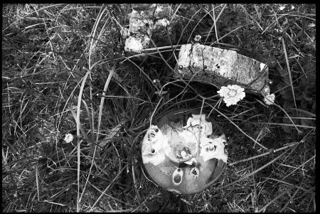 sonntag_118_juli05_friedhofschmuck_zita.jpg