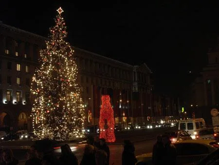 13_sofiachristbaum.jpg