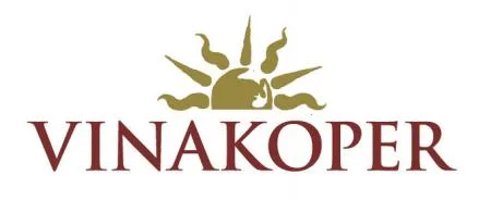aut_discussionlogo_vinakoper_jepeg_0.jpg