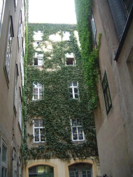 sonntag_165_abb4alternat.jpg