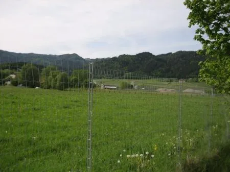 wallmueller_spielberg_img_0859.jpg
