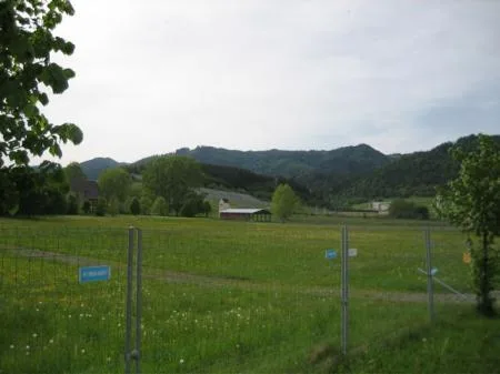 wallmueller_spielberg_img_0860.jpg