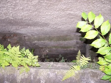 schiffer_altstadtrundgang_foto6.jpg