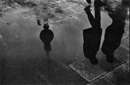 sonntag_223_reflektion.jpg