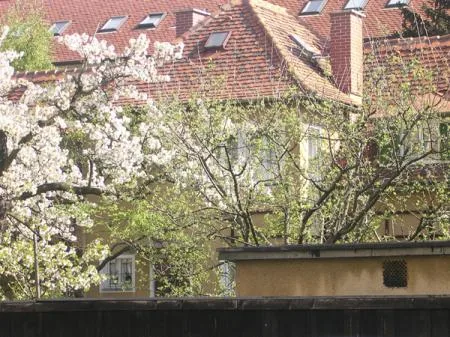sonntag_226_01.jpg