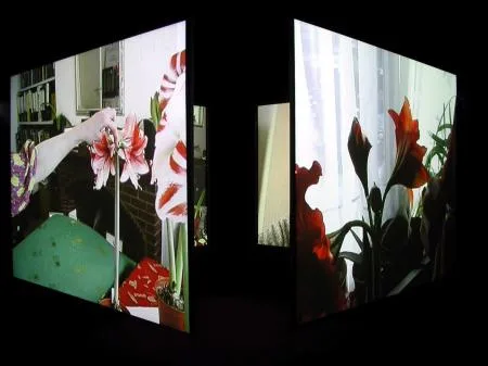 mracek_alpeh_kopie_von_kutlug_ataman_the_four_seasons_of_veronica_read_kl.jpg