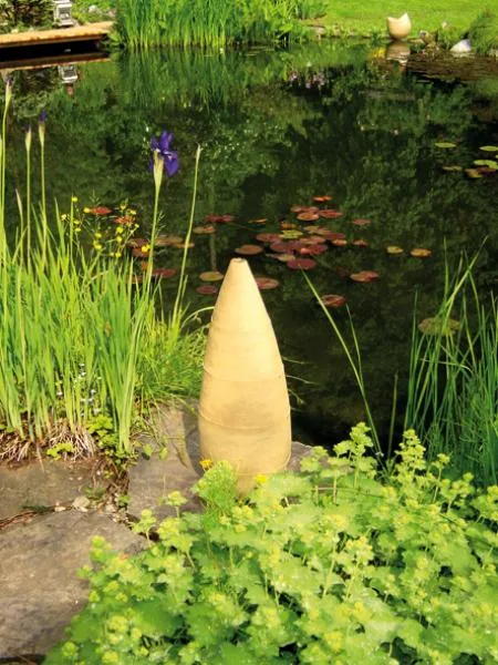 teich2_10cmweb.jpg