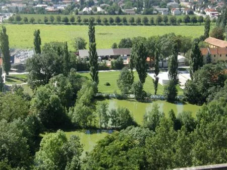 lechner_citywalk_bild_8_blick_eisteiche.jpg