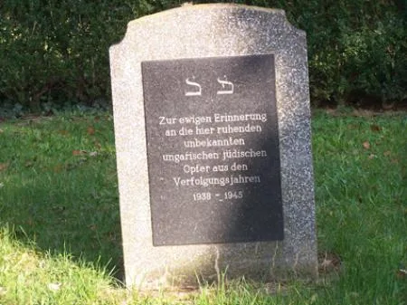 schiffer_jf10.jpg