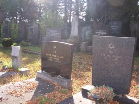 schiffer_jf11.jpg