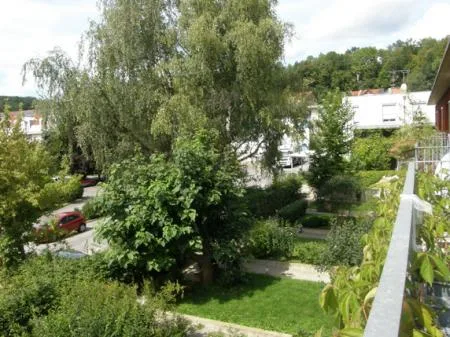 lechner_tiefes_haus_blick_in_vorgarten.jpg