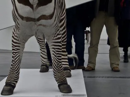 gruber_linz09_zebrafsse.jpg