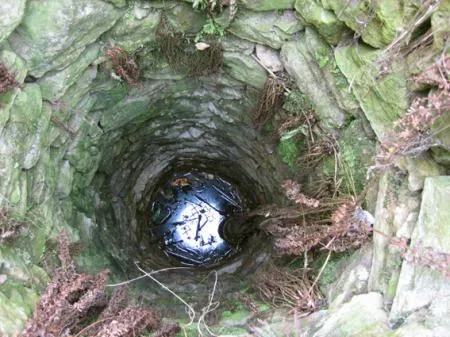 sonntag_263_gully_gross.jpg