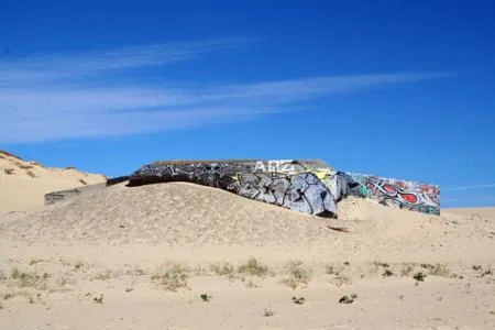 sonntag_262_26_cap_ferret_9_me_081.jpg