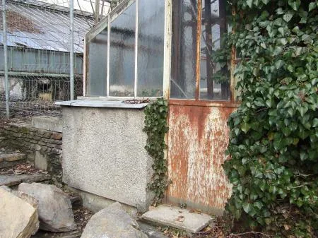 scheuer_gepflanzt_2.jpg