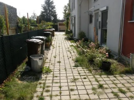 lechner_orf_bild_15_vermllter_zugang_von_der_rosengasse.jpg