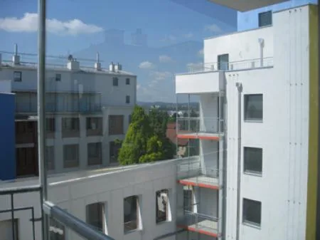 bader_rosa_02.jpg