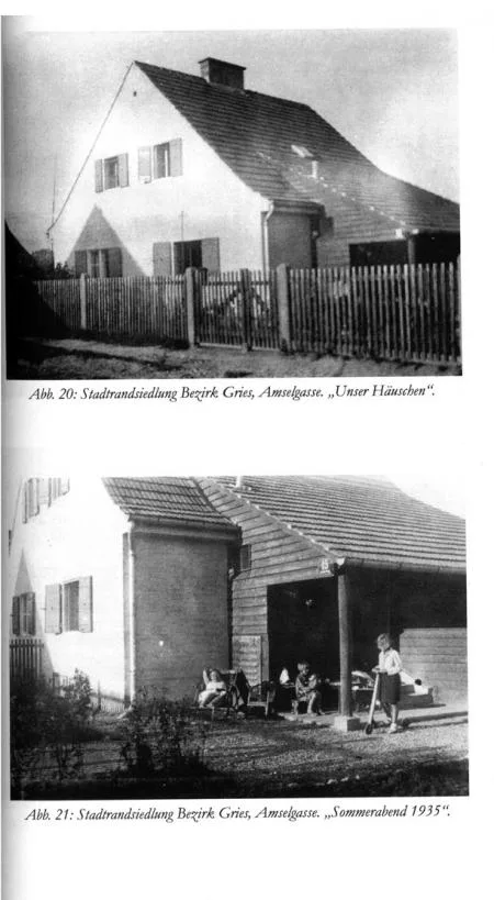 lechner_amselgasse_abb_03_urzustand_amselgasse.jpg