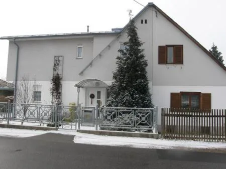 lechner_amselgasse_abb_08_zubau_amselg.jpg