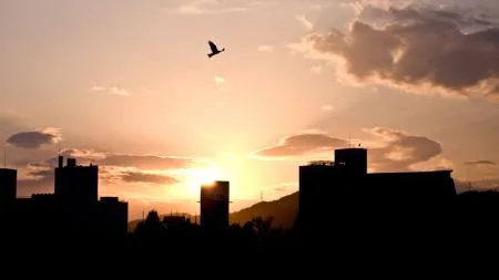 sonntag_274_hiroshima2.jpg
