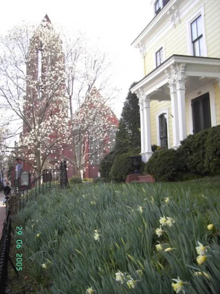 sonntag_278_georgetown1.jpg