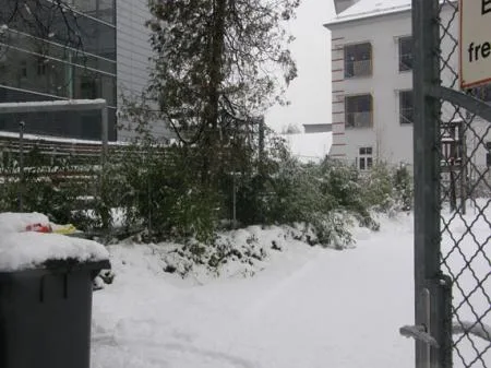 lechner_grieswanderung_bild14_zaun_zwi_omega_und_albertschweitzerklinik.jpg