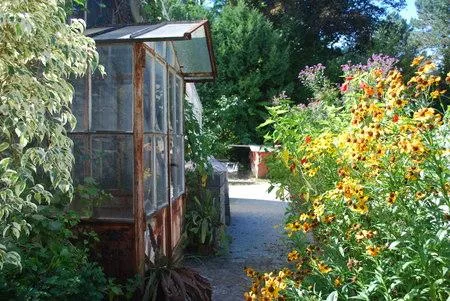bda_gewaechshaeuser_botanischer_garten_03.jpg