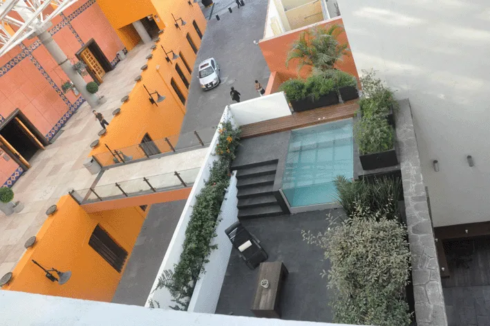 zt_forum_mexiko_0088_kopie.gif
