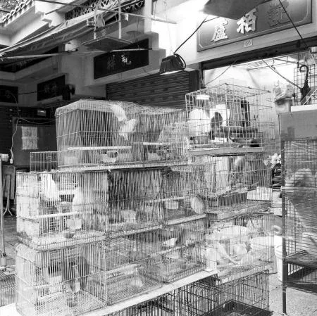 hongkong_003zita_oberwalder.jpg