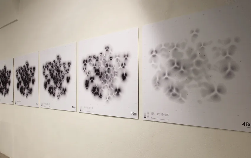 ausstellung_mit_allen_mitteln_011zita_oberwalder_kopie.gif