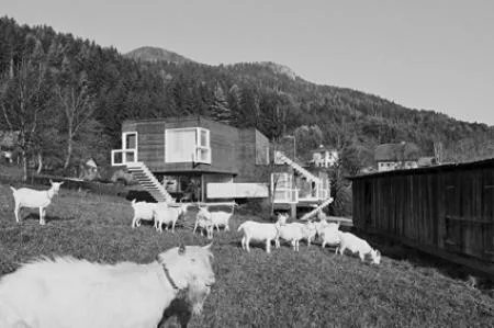 efh_surplus_weichlbauer_ortis_hertha_hurnaus.jpg