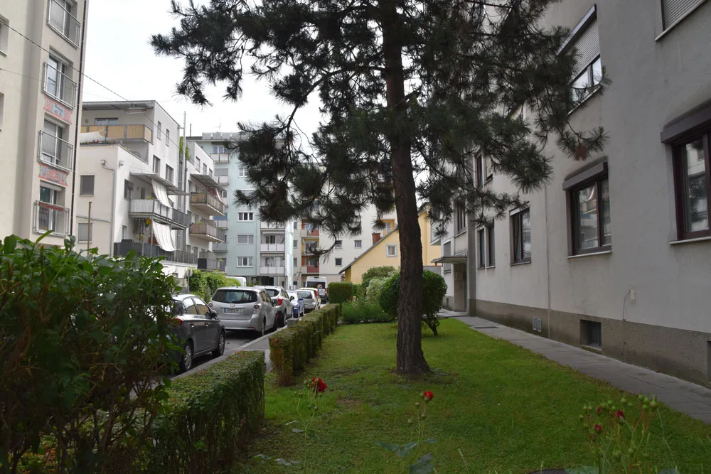 bild_8_vorhandener_vorgarten_mit_baumen_sollte_leitbild_fur_bebauungsplan_sein.jpg
