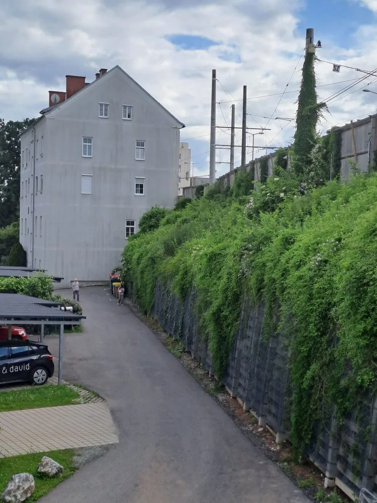 © Peter Laukhardt bild_6_murterrasse_beim_hochleitenweg.jpg