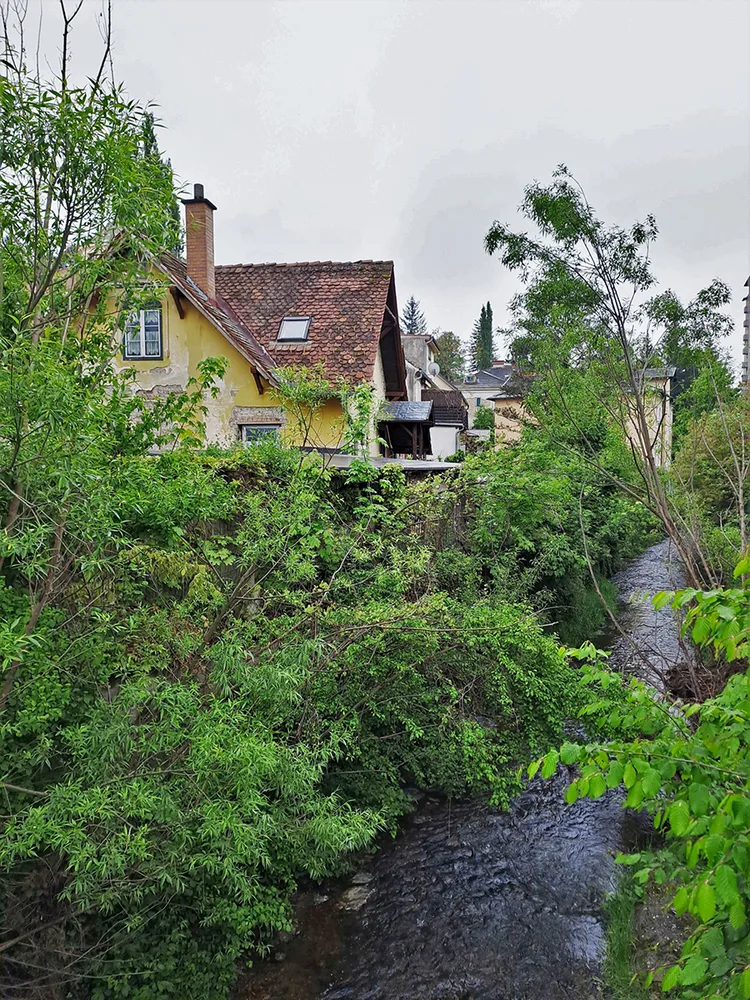 © Peter Laukhardt bild_6_bachwirt_am_ufer.jpg