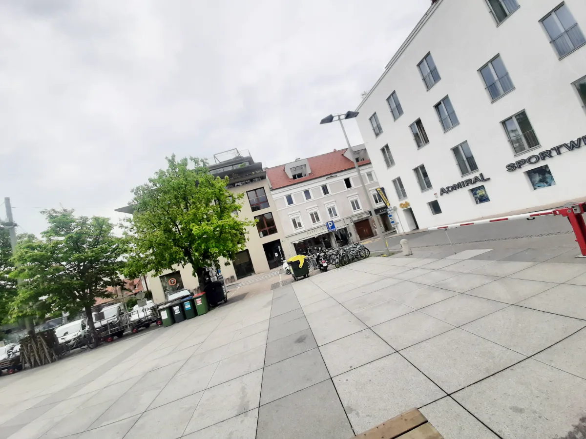 20230503_181554_wunschbaum.png