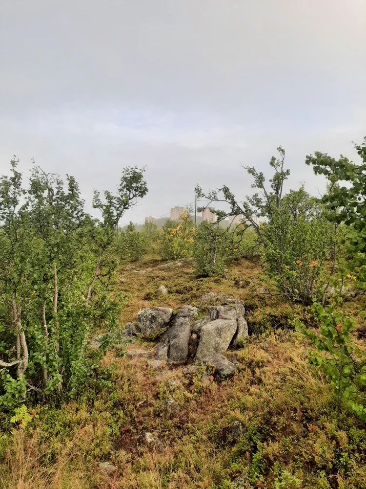 20210821_vbl06_02.png