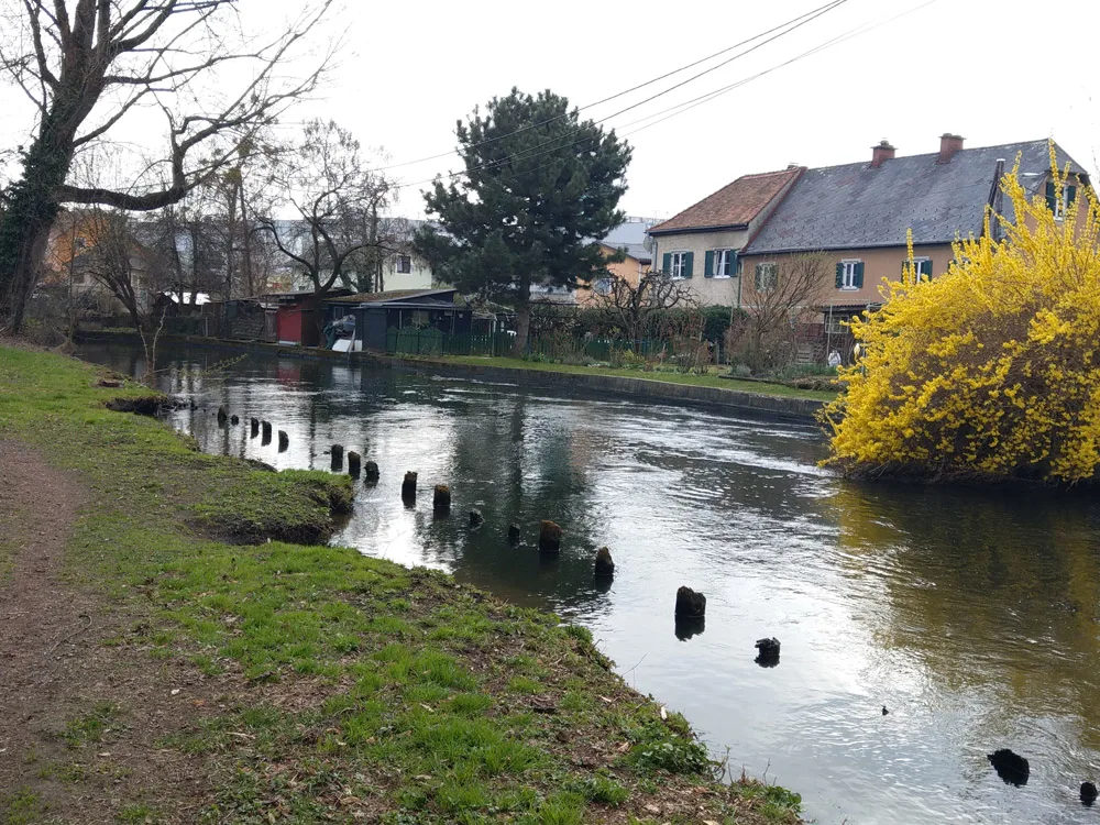 bild_8_blick_nach_suden_muhlgang_abwarts.jpg
